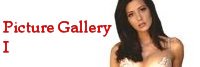 Picture Gallery 1